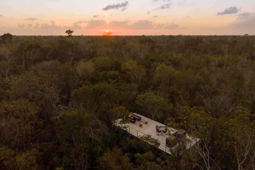 This All-glass Cabin within the Mexican Jungle Is One of many Most Gorgeous Airbnbs We've Ever Seen