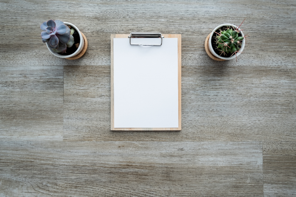 A blank clipboard between two small potted succulents on a wooden table